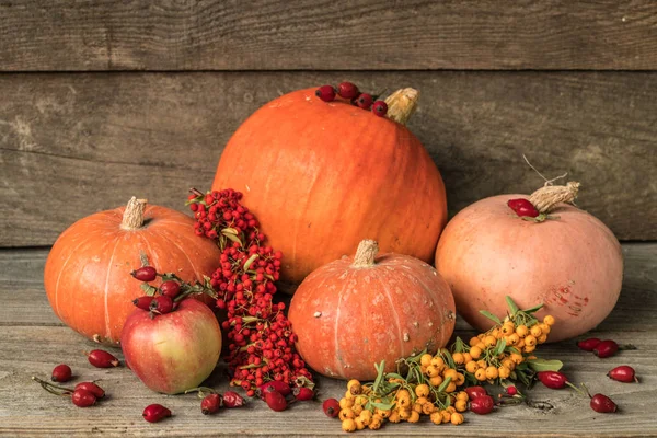 Balkabaklarıyla sonbahar sakin bir hayat