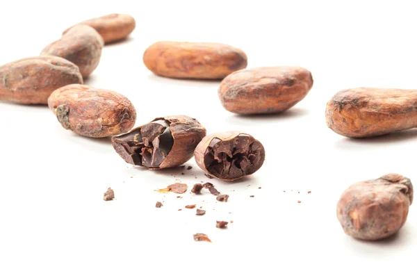 Frijoles de cacao secos sobre fondo blanco —  Fotos de Stock