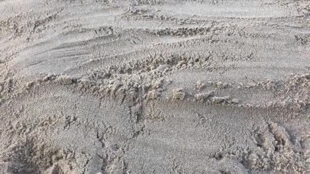 Feliz cumpleaños con corazones de piedra multicolores en la playa — Vídeos de Stock