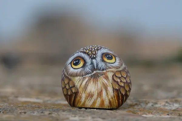Hand Painted Stone Owl Portrait — Stock Photo, Image