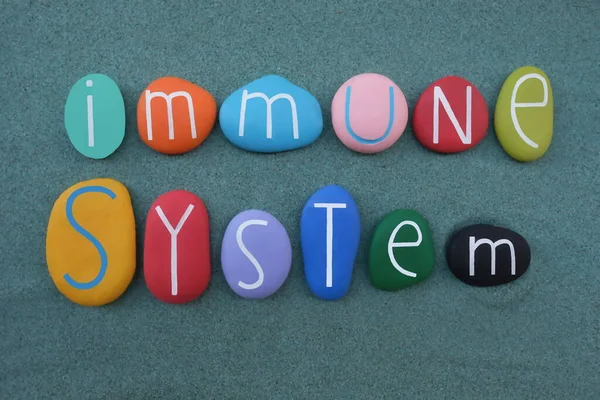 Immune System Creative Text Composed Multi Colored Stone Letters Green — Stock Photo, Image