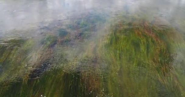 Transparent for clean rivers — Stock Video