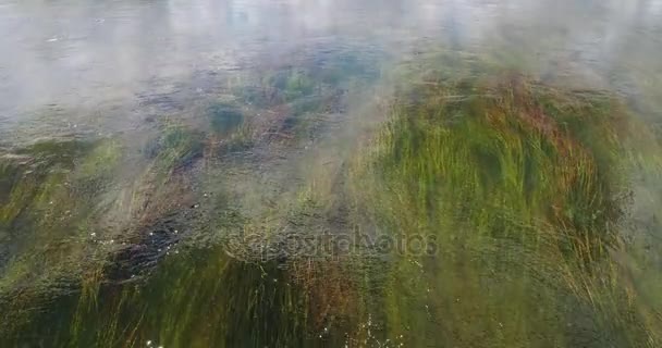 Transparent pour des rivières propres 