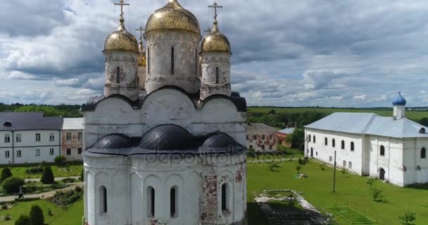 Fliegen aus dem Tempel auf — Stockvideo