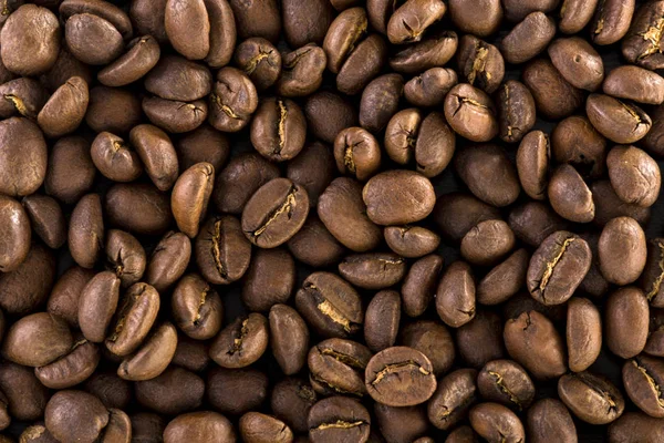 Background Coffee Seeds