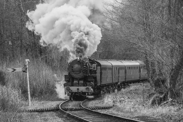 Une Photo Mono Noir Blanc Une Locomotive Vapeur Vintage Fumant — Photo