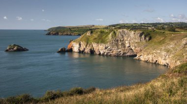 Devon 'daki Berry Head' den sahile bakan ve uçurumları ve denizi gösteren güneşli bir gün.