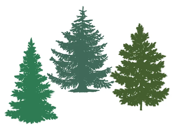 Silhouettes of spruce and pine — Stock Vector