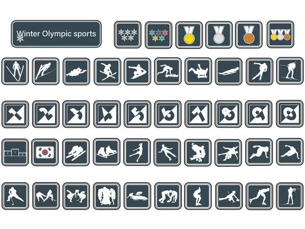 Winter sports icons set. — Stock Vector