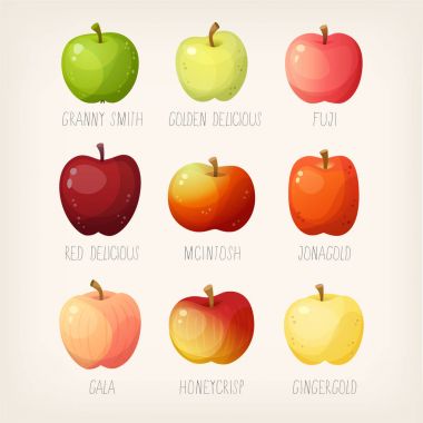 list of apples clipart