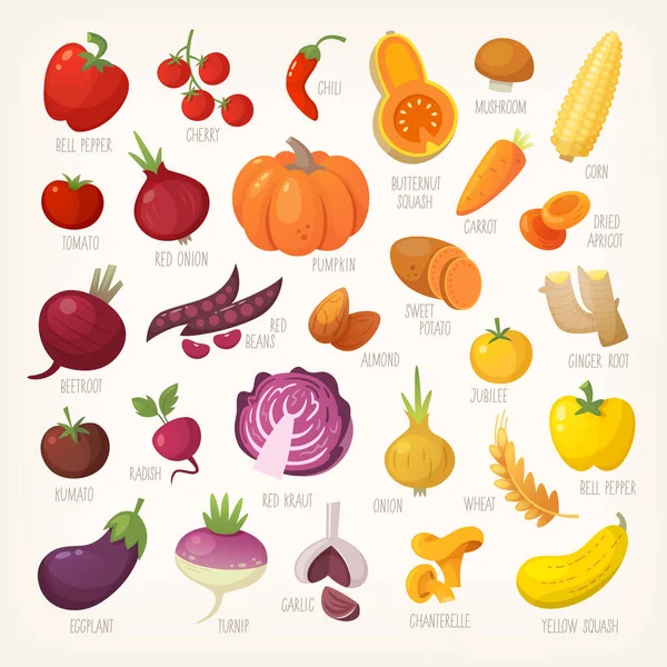 Frutas e legumes coloridos —  Vetores de Stock