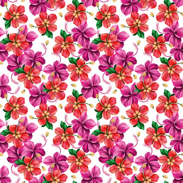 Floral digital pattern with Hibiscus on white background. Seamless summer tropical fabric design. Hand drawn illustration — Stock Photo, Image