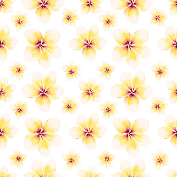 Modello esotico di Plumeria bianca su sfondo bianco. Design del tessuto tropicale estivo senza cuciture. Illustrazione disegnata a mano — Foto Stock