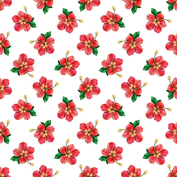 Modello digitale floreale con Hibiscus rosso su sfondo bianco. Design del tessuto tropicale estivo senza cuciture. Illustrazione disegnata a mano — Foto Stock