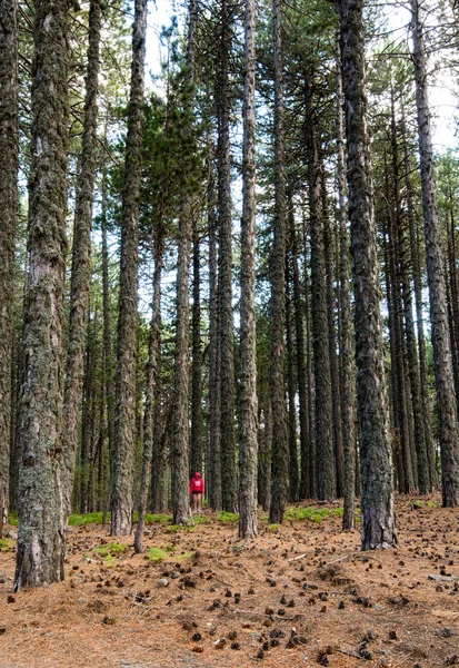 Adolescente caminando en el bosque —  Fotos de Stock