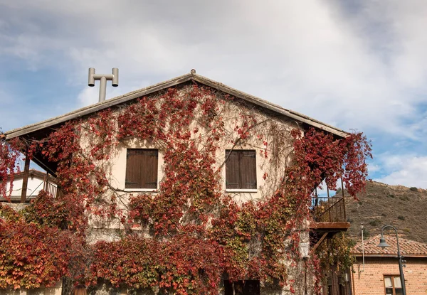 Ściany zewnętrzne domu pokryte jesiennych liści czerwony — Zdjęcie stockowe