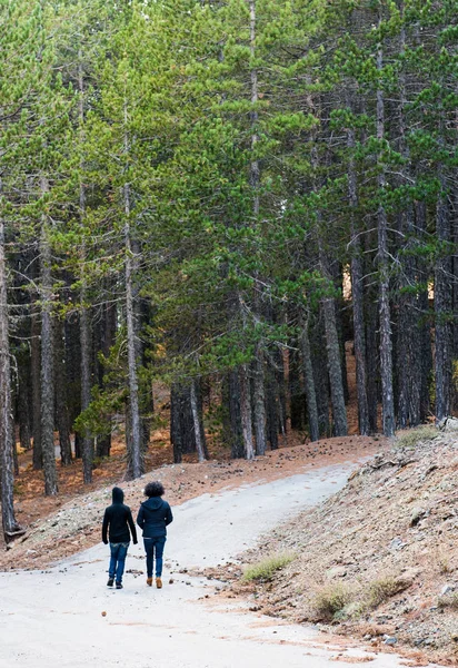 Gente caminando en el bosque —  Fotos de Stock