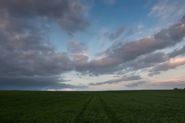 Yeşil Alan ve Bulutlu Gökyüzü — Stok fotoğraf
