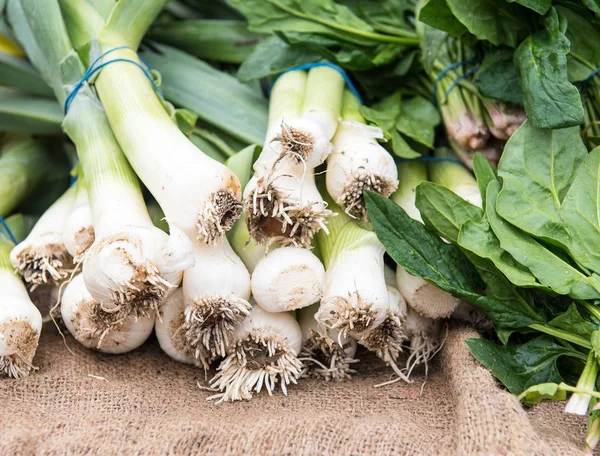 Свежие здоровые овощи из лука — стоковое фото