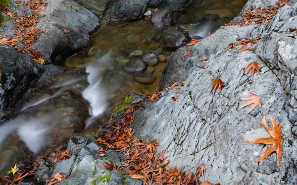 Corriente de agua que fluye en el río en otoño — Foto de Stock