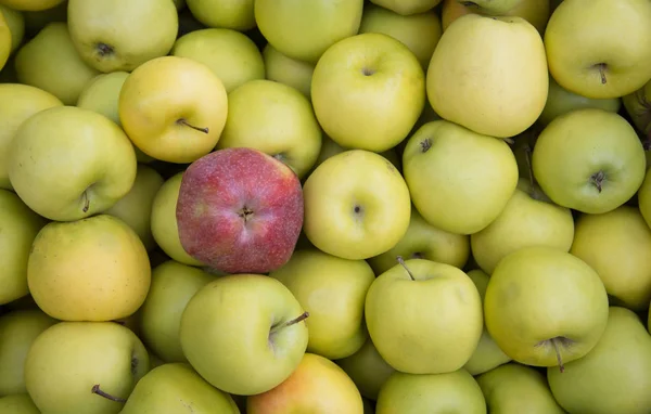 Verse gezonde groene en rode appels op een fruitmarkt — Stockfoto