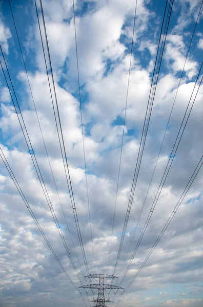 Líneas de transmisión de electricidad que transfieren energía eléctrica —  Fotos de Stock