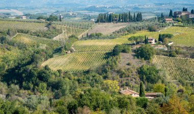 bağ alanları alanında San Gimignano, Toskana, İtalya