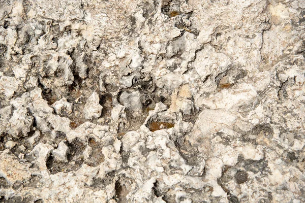 Branco abstrato grungy fundo de uma superfície rochosa — Fotografia de Stock