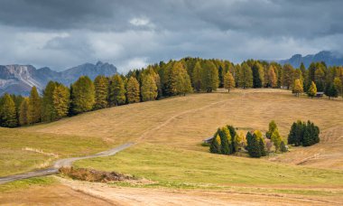 Dolomitlerdeki Alpe di Siusi Vadisi 'ndeki Dağ Manzarası 
