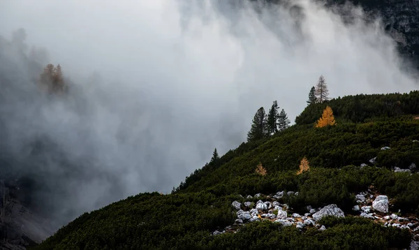 有雾的山水景观，深夜的照片 — 图库照片