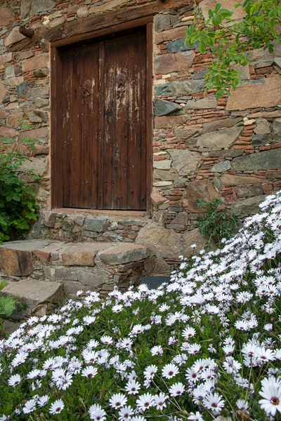 Casa tradicional em Chipre com porta vintage de madeira e flores — Fotografia de Stock