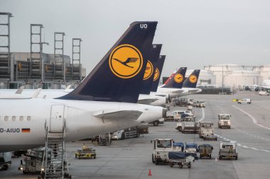 Frankfurt 1 terminalindeki Lufthansa uçakları 
