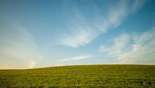 Champ vert et ciel nuageux bleu Environnement — Photo