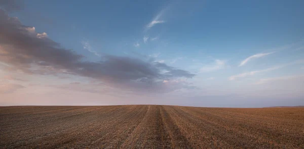 Champ de prairie agricole et ciel nuageux au coucher du soleil. — Photo