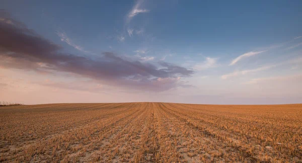 Campo de prado agrícola e céu nublado durante o pôr do sol. — Fotografia de Stock