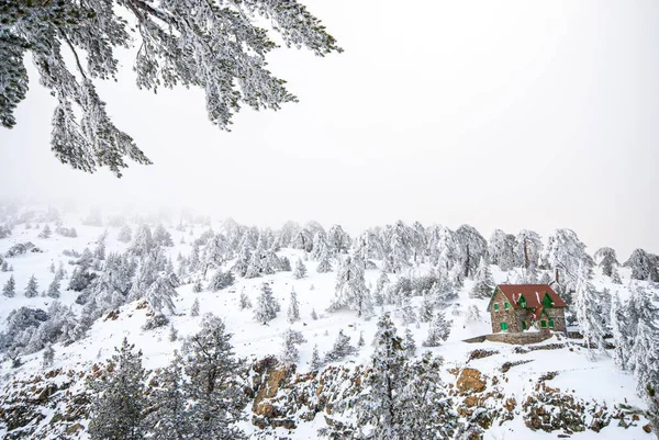 Winter Landscape, Troodos mountains Cyprus — Stock Photo, Image