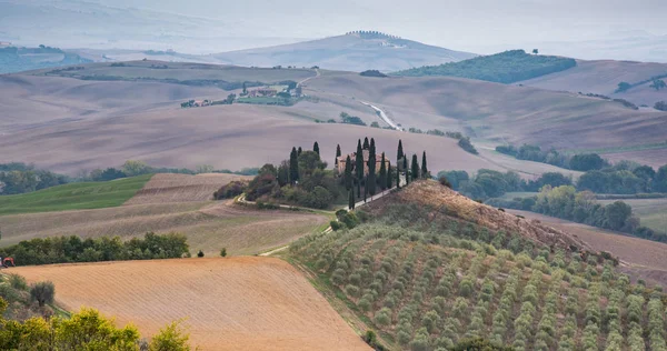 Pienz yakınlarındaki Tuscany bölgesinde otlağı olan Idyllic manzarası — Stok fotoğraf