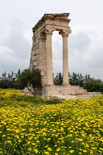 Antike Säulen aus Apolonhylaten, Zufluchtsort in Limassol, Lkr. — Stockfoto