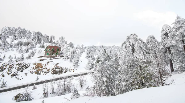 Paisaje invernal, montañas Troodos Chipre — Foto de Stock