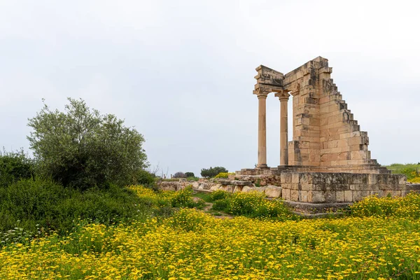 Antiche colonne di Apollon Hylates, santuario a Limassol distr — Foto Stock