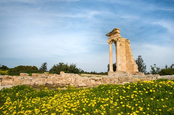 Apollon Hylates 'in antik sütunları, Limasol distr' deki sığınak. — Stok fotoğraf