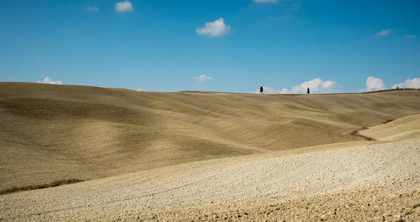 Pienz yakınlarındaki Tuscany bölgesinde otlağı olan Idyllic manzarası — Stok fotoğraf