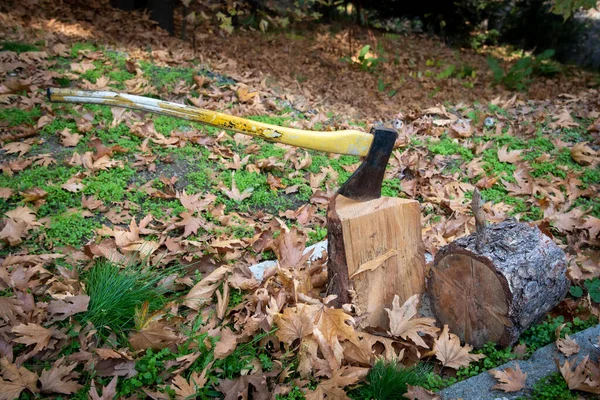 Ascia con lama affilata per tagliare la legna per un camino per il riscaldamento d — Foto Stock