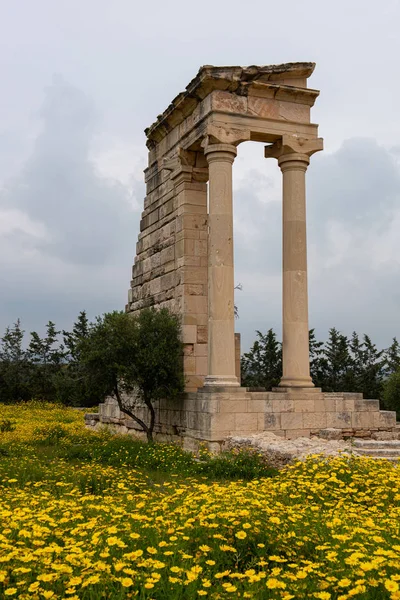 Ancient columns of Apollon Hylates,  sanctuary in Limassol distr — Stock Photo, Image