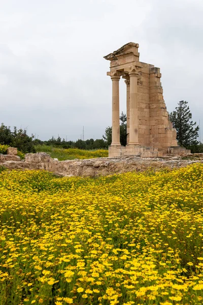 Forntida kolonner av Apollon Hylates, fristad i Limassol distr — Stockfoto