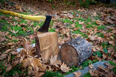 Isıtmak için odun kesmek için keskin bıçaklı balta.
