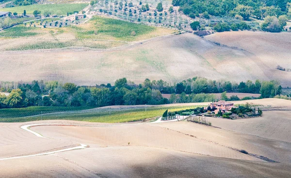 Idylliczny krajobraz z łąką złożony w Toskanii w pobliżu Monte — Zdjęcie stockowe