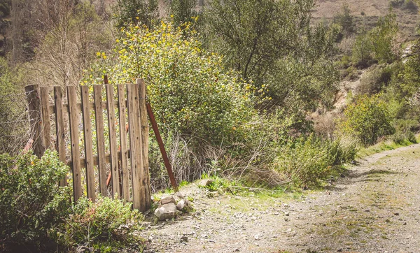 Cerca de porta de madeira fechada em um campo agrícola — Fotografia de Stock