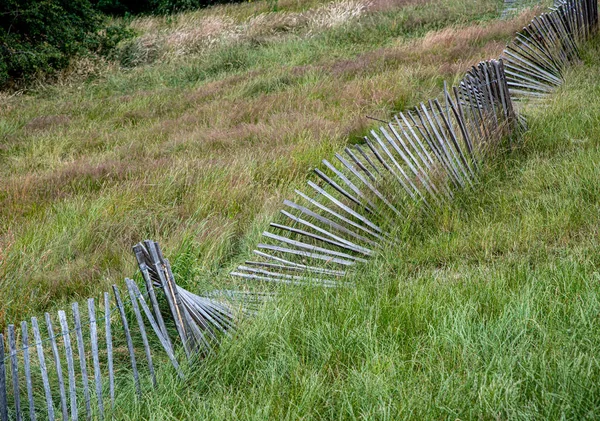 Recinzione in legno su un campo verde — Foto Stock