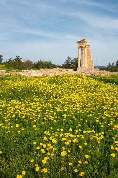 Starożytne kolumny Apollon Hylates, sanktuarium w Limassol distr — Zdjęcie stockowe